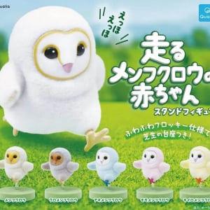 エッホエッホ「走るメンフクロウの赤ちゃん」がガチャになったって伝えなきゃ！ エッホエッホ