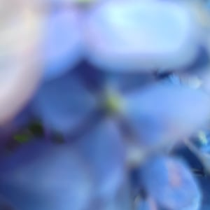 Sound on the Table、6ヶ月連続発表となる新EP『azure』リリース