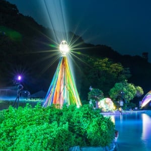 【兵庫県姫路市】自然×光×音の幻想的空間！姫路セントラルパークにフォトジェニックなナイトプール登場