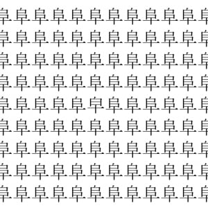 【脳トレ】「阜」の中に紛れて1つ違う文字がある！？あなたは何秒で探し出せるかな？？【違う文字を探せ！】