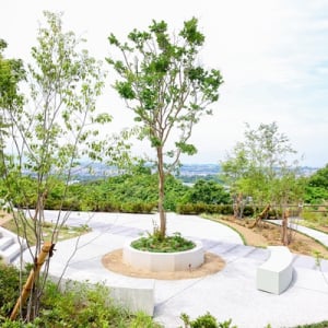 【大阪府羽曳野市】「はびきの中央霊園」に樹木葬専用の新エリア「追憶の森 望」OPEN！見学・相談受付中