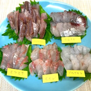 800円の未利用魚セットを刺身で食べ比べした結果 →実質タダのアイツ旨すぎワロタ【ウルメイワシ/ヒラマサ/アカヤガラ/クロサギ/ヒメジ/ヨメヒメジ】