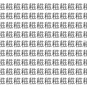 【脳トレ】「稵」の中に紛れて1つ違う文字がある！？あなたは何秒で探し出せるかな？？【違う文字を探せ！】