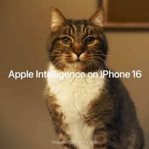 Apple iPhone16の公式動画に登場する猫・ギャレットの「圧が凄すぎる」とネットで話題