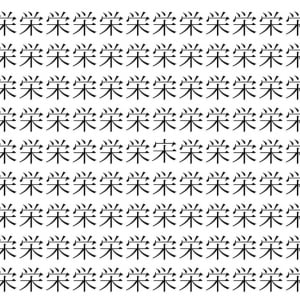【脳トレ】「栄」の中に紛れて1つ違う文字がある！？あなたは何秒で探し出せるかな？？【違う文字を探せ！】
