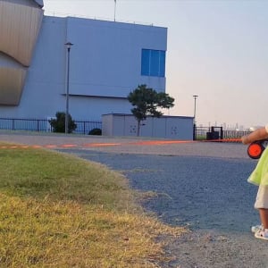 拒否柴の洗礼を受ける幼い女の子。リードをめいっぱい引っ張っても動いてもらえない！！「カワイイ根比べですね〜」「容赦のない拒否」