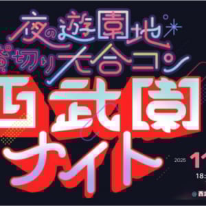 【埼玉県所沢市】夜の遊園地を貸し切りにした、一夜限りの出会いのビッグフェス「西武園ナイト」開催！