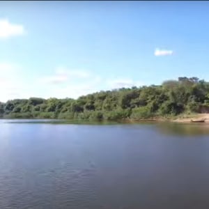 【衝撃映像】川をドローンで撮影してたら！ドローンがワニに食べられた！？【海外・動画】