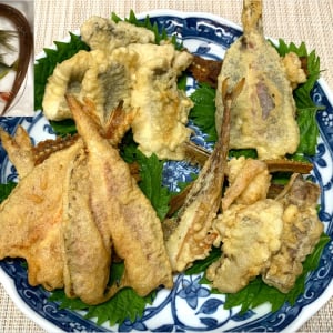 【未利用魚】売りものにならない魚を買い取って天ぷら食べ比べをした結果→ うまぁぁぁあああい【アカヤガラ・ヒメジ・ヨメヒメジ・クロサギ】