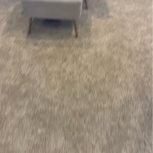 チワワはどこ！？探し回っていた結果・・ずっと人目につく場所にいたことが判明！！【アメリカ・動画】