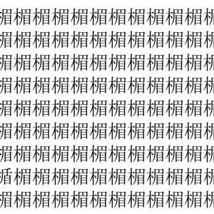 【脳トレ】「楣」の中に紛れて1つ違う文字がある！？あなたは何秒で探し出せるかな？？【違う文字を探せ！】