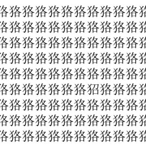 【脳トレ】「狢」の中に紛れて1つ違う文字がある！？あなたは何秒で探し出せるかな？？【違う文字を探せ！】