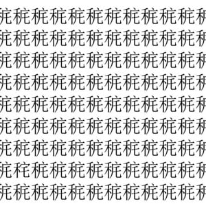 【脳トレ】「䅊」の中に紛れて1つ違う文字がある！？あなたは何秒で探し出せるかな？？【違う文字を探せ！】