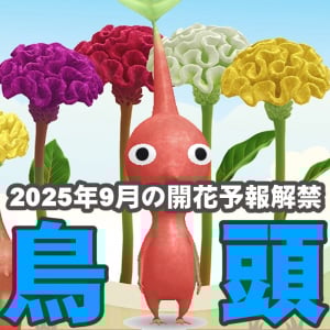 『ピクミン ブルーム』来月はニワトリのトサカ!? 2025年9月の開花予報第1報ガイド【プレイログ#995】