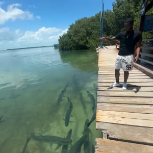 魚にエサやりをしようとしたら・・！とんでもなく大きい魚が勢いよく飛び出してきた！？【アメリカ・動画】