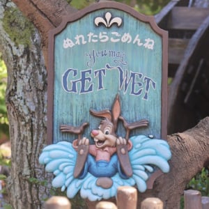 夏ディズニーはパレード・アトラクション・”びしょ濡れスポット”で涼しく！：夢と魔法に魅せられたミキ’s TODAY Vol.76