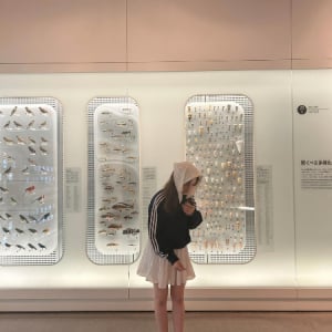 リアルどうぶつの森!? 東京・上野の「国立科学博物館」が話題沸騰中。リーズナブルな入館料もポイントだよ