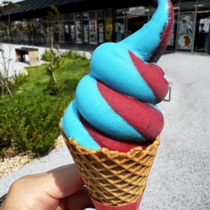 【大阪・関西万博グルメ】大阪万博の会場内で食べられるソフトクリーム5選