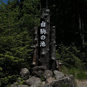 長野にある神秘の湖・白駒の池で雲上の絶景見に行かない？暑さを忘れるくらい涼しい避暑スポットだよ