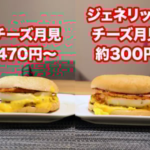 マクドナルドの「エグチ」を“ジェネリックチーズ月見”に魔改造するとほぼ同じ味なのに安上がり！