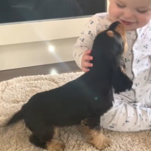 この世のかわいいは全てこの動画に詰まっている！？赤ちゃんとワンコの戯れ動画が尊すぎる