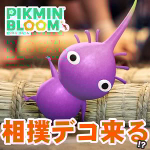 『ピクミン ブルーム』お相撲さんは何かの前触れ!? 公式SNSの投稿がどうにも気になる週末リポート【プレイログ#1015】