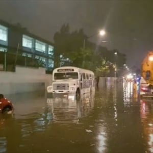 メキシコで豪雨被害の復旧作業してたら下水で発見されたのは目を疑う巨大なネズミ？！？！
