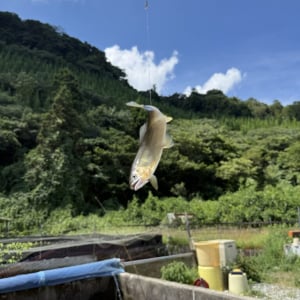 山口県山口市でおすすめ！「鮎の里　鳳翩屋（ほうべんや）」