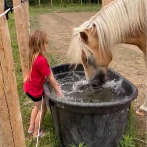 一緒にバシャバシャ！女の子と馬は水のかけ合いっこ中！【海外・動画】