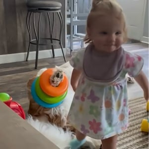 リングを積み重ねて遊ぶ女の子。ポール代わりにしているのは・・セントバーナードの足！？【アメリカ・動画】