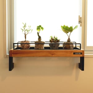 観葉植物、置きたいけど場所がない…。ネジ・釘不要のこれで「窓際に浮かせる」が正解かも！【ROOMIEライターのコレ気になる】