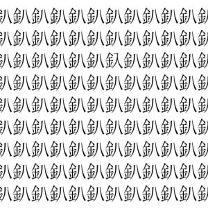 【脳トレ】「釟」の中に紛れて1つ違う文字がある！？あなたは何秒で探し出せるかな？？【違う文字を探せ！】