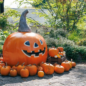 木製ヒノキお月見・ハロウィン・クリスマス・正月・節分・夏風物 山梨県北杜市】ナチュラルガーデンズMOEGIで「萌木の村ハロウィン