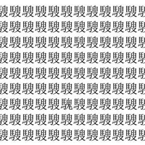【脳トレ】「騪」の中に紛れて1つ違う文字がある！？あなたは何秒で探し出せるかな？？【違う文字を探せ！】