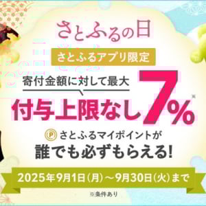 【まだ間に合う】ふるさと納税、ポイント付与禁止目前！ポイ活専門家が最後のチャンスを最大限生かすコツを解説