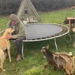 元気なヤギが飼い主さんに頭突き！？トランポリンの上でサプライズ発生！！【海外・動画】