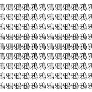 【脳トレ】「鴉」の中に紛れて1つ違う文字がある！？あなたは何秒で探し出せるかな？？【違う文字を探せ！】