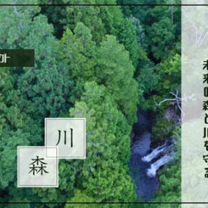 【広島県広島市】観光体験が森を守る力に。「シャワークライミング×森の再生プロジェクト」本格始動