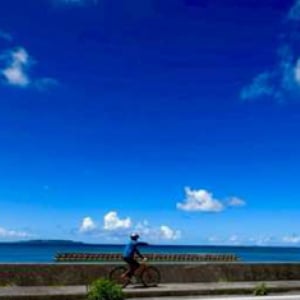 【沖縄県東村・大宜味村】「地域交流型サイクルツーリズム体験ツアー」で、やんばるの“素顔”に出会う新体験！