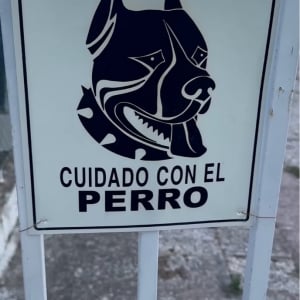 『猛犬注意！』の警告プレート。どんな怖い子が待ち構えていると思いきや・・看板の下にいたのは！？【海外・動画】