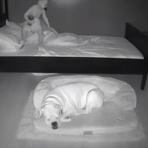 ベッドで寝ているはずの赤ちゃんが毎朝ワンコの横に！？不思議に思い監視カメラで確認するとその理由がわかった！【過去の人気記事】