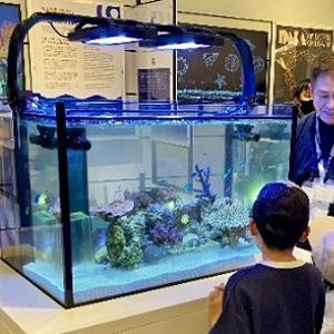 EXPO 2025 大阪・関西万博 サウジアラビア館 のサンゴ構造物などが関西大学へ　生命を宿さないサンゴ骨格に命を吹き込む国際共同研究が始動