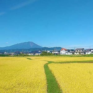 秋田駅ナカで買った老舗和菓子店 三松堂 の栗饅頭　大正13年 老舗の和菓子をお茶とゆっくり　秋田駅ビル トピコ＆アルスで手に入れたホクホク◎時間