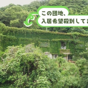【築74年・家賃1万円の団地】占い師・探偵・ブックカフェ店主…大家負担でDIYし放題、部屋も住人もクセが強すぎる！ 福岡「門司港1950団地」渋沢プロジェクト