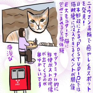 猫映像を全身で浴びられるニュウマン高輪の癒しスポット（辛酸なめ子）