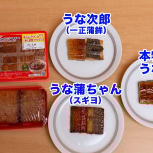 土用の丑の日は「うなぎ風かまぼこ」を食べるぞ！ 味もほぼ一緒だし！ →本当に同じかAI味覚センサーで解析してみた