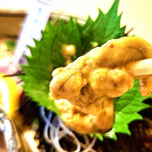 香川県 遊食房屋 多度津高校 共同開発　海洋循環型「讃岐うどん雲丹」に込めた想い「研究成果が商品に、学びが実際の社会課題解決に」2027年全国展開めざし産官学が結束