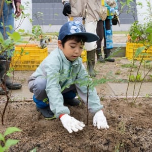 【岡山県鏡野町】弁当&お土産付きで参加無料の「第9回 山田養蜂場 宮脇式植樹祭」開催!宝探し企画も