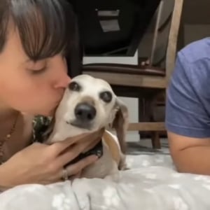 キスしていいのはママだけ！ママとパパが愛犬に交互でキスしたら、愛犬の露骨に違う態度が面白い！