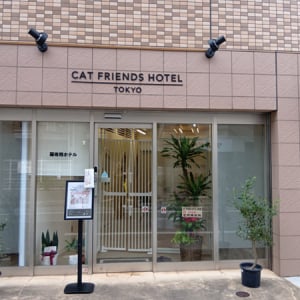 【東京都品川区】細部まで愛情と清潔さを極めた完全個室型・少数制「猫専用ペットホテル」戸越に誕生